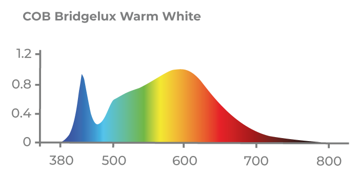 Espectro de Luz COB WARM WHITE