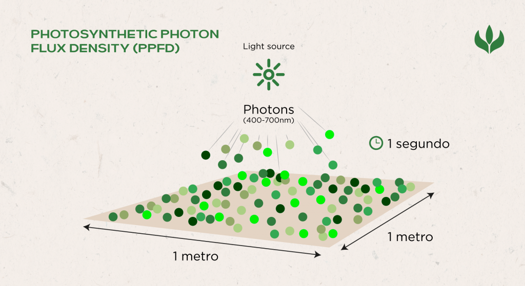 PPFD: Densidade do Fluxo de Fótons Fotossinteticamente Ativos
