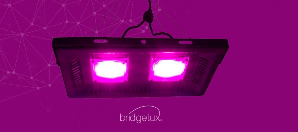 Tecnologia COB LED da marca Bridgelux, presente na Linha Standard de Iluminação para Cultivo da Master Plants