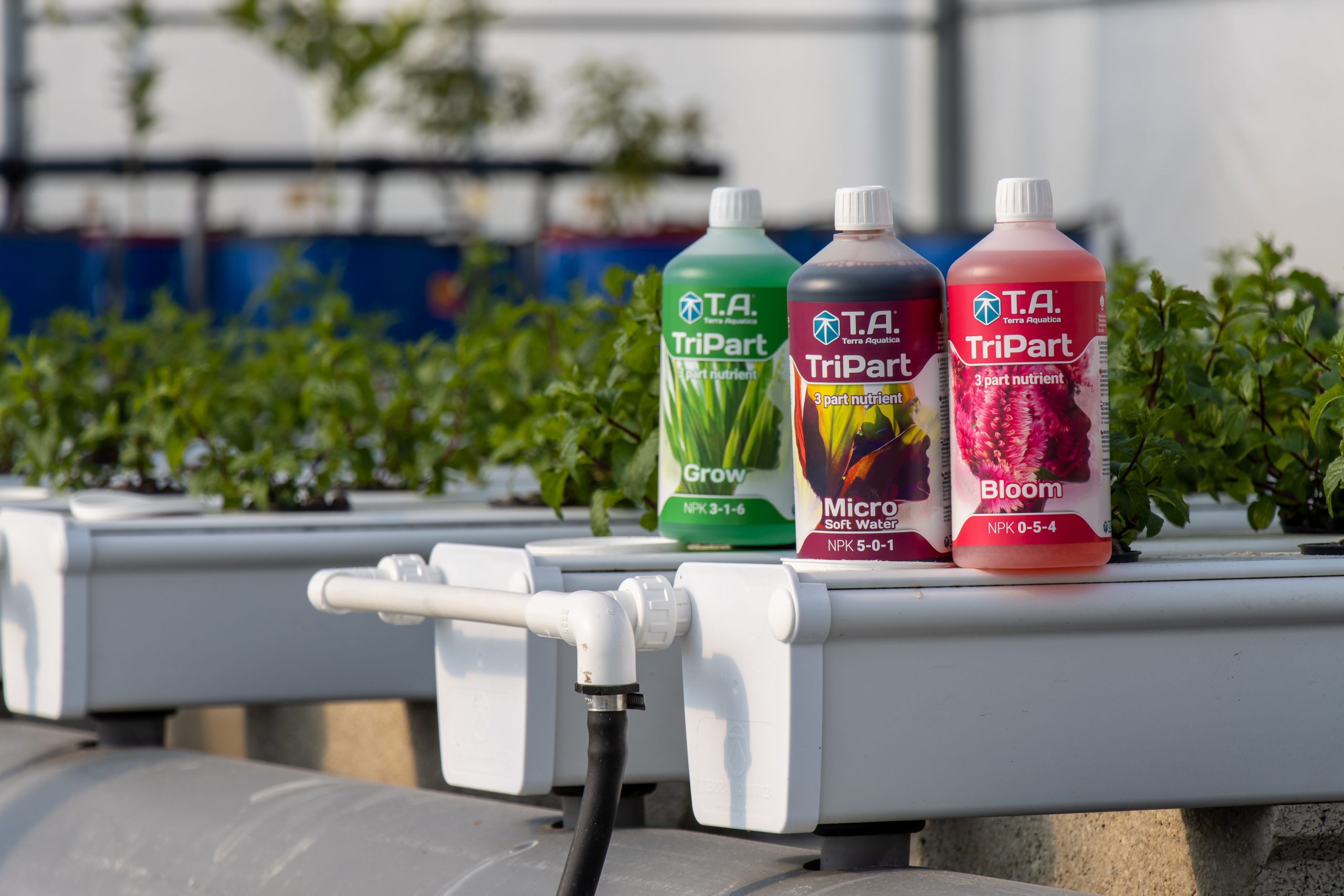 Fertilizantes General Hydroponics Europe Flora Series agora é Tripart