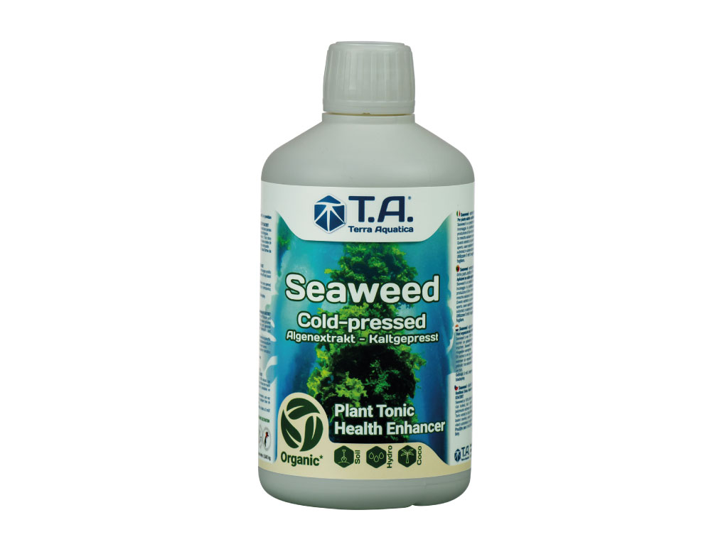 seaweed1-master-plants