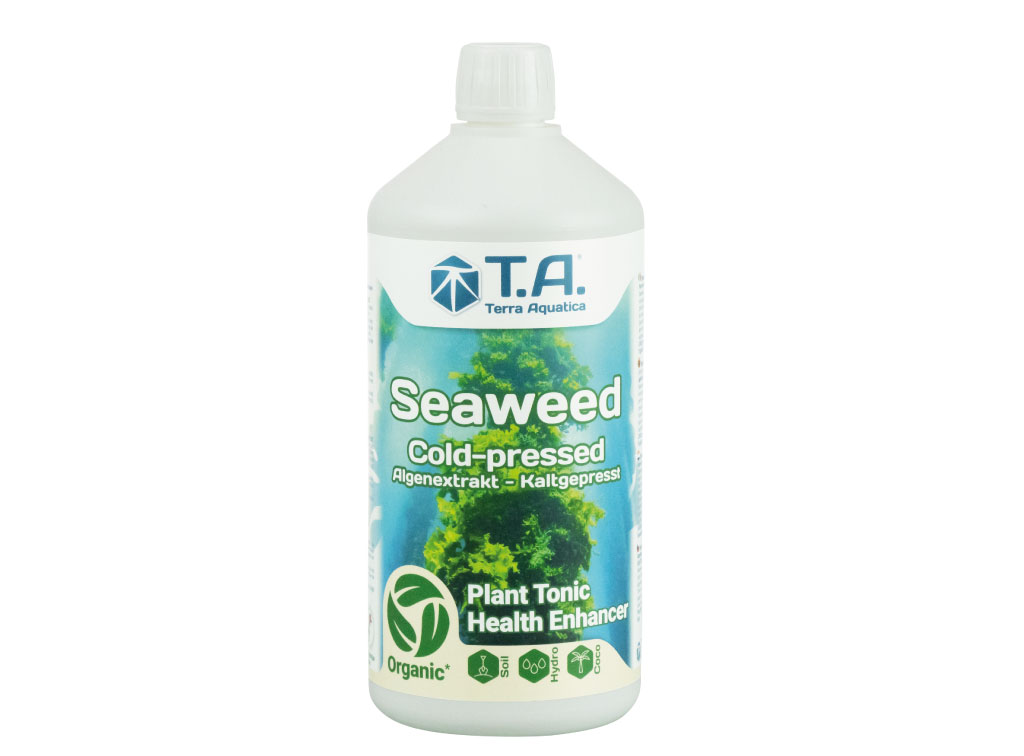 seaweed2-master-plants