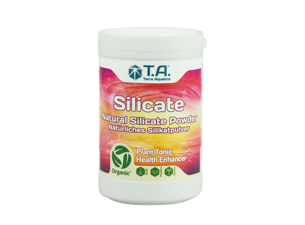 silicate-master-plants