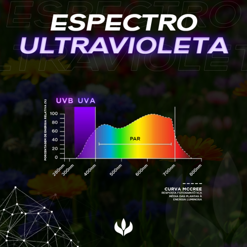gráfico luz ultravioleta no cultivo